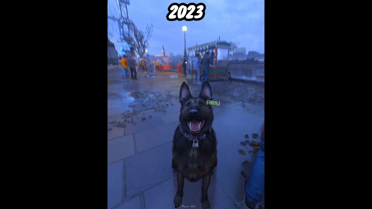 Riley The Dog – Then And Now in Call Of Duty Ghosts vs Modern Warfare III (2013-2023)